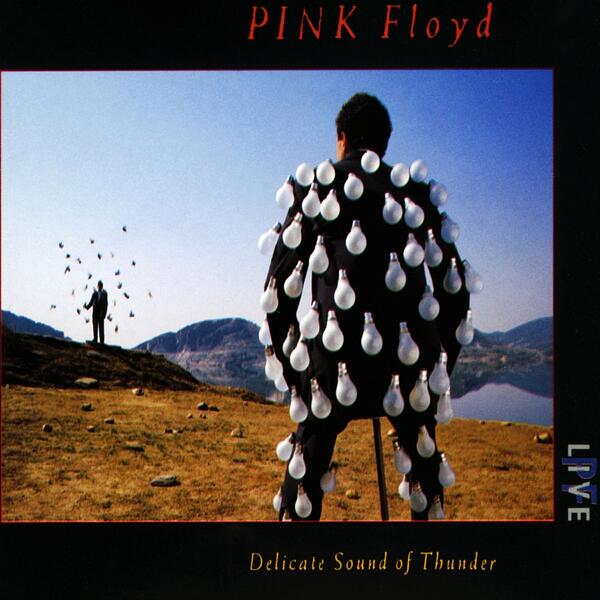 Shine on you crazy diamond (live)