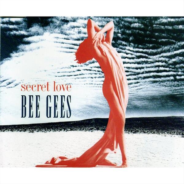 Secret love (1991)