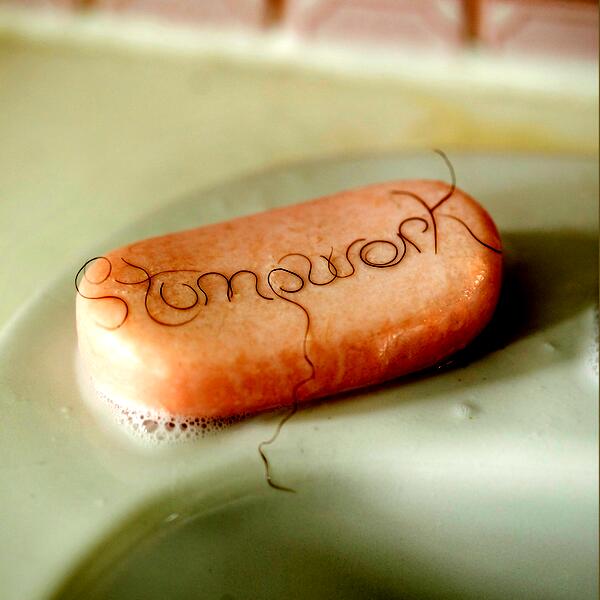 Anna calls from the Arctic