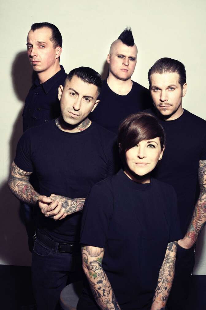 Broilers