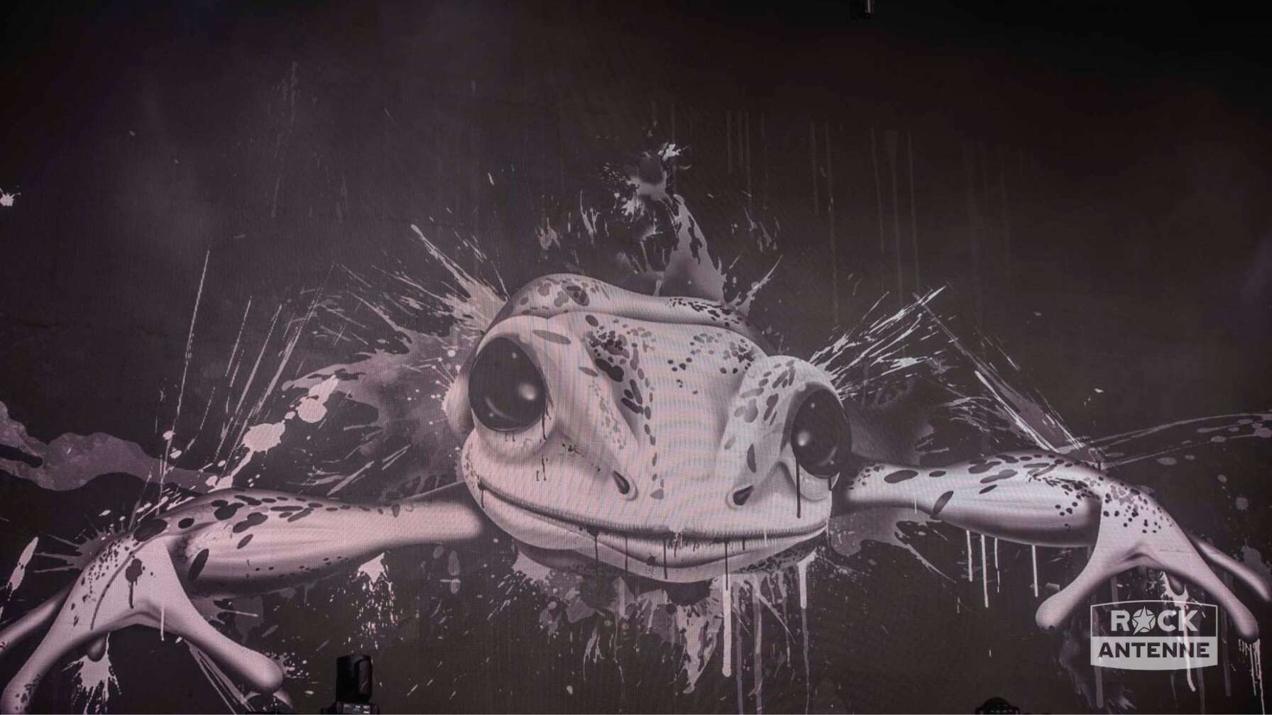 Frog Leap bei Rock im Park 2025