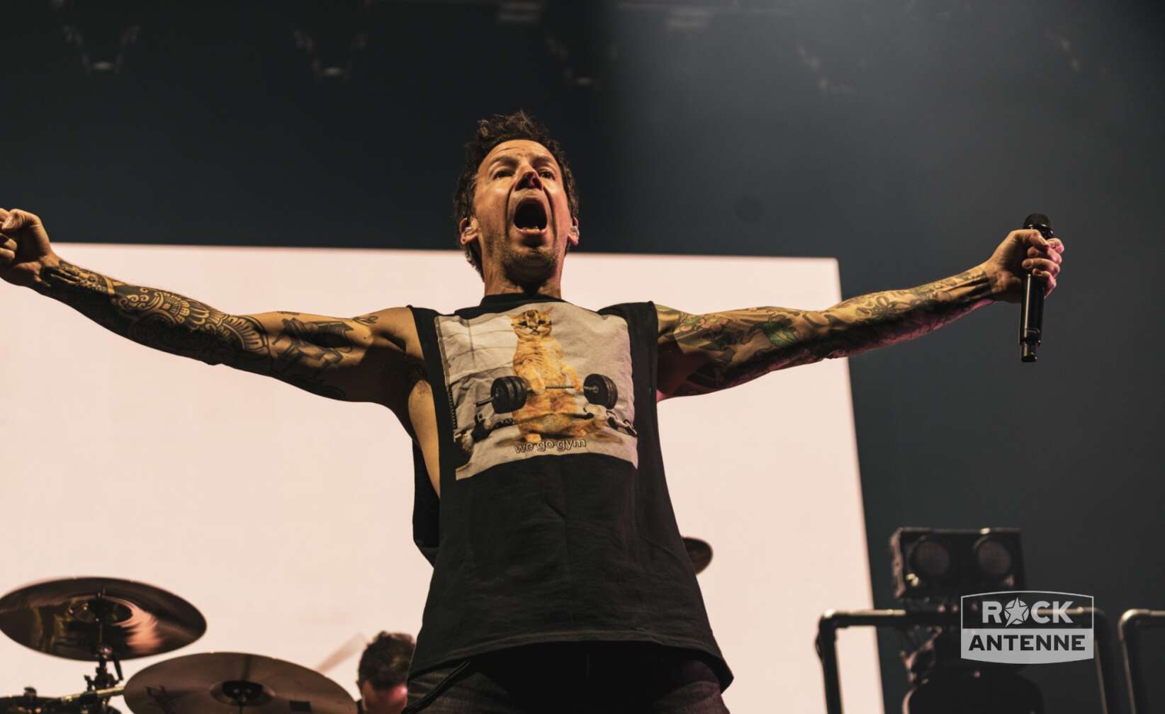 Konzertfotos von Simple Plan