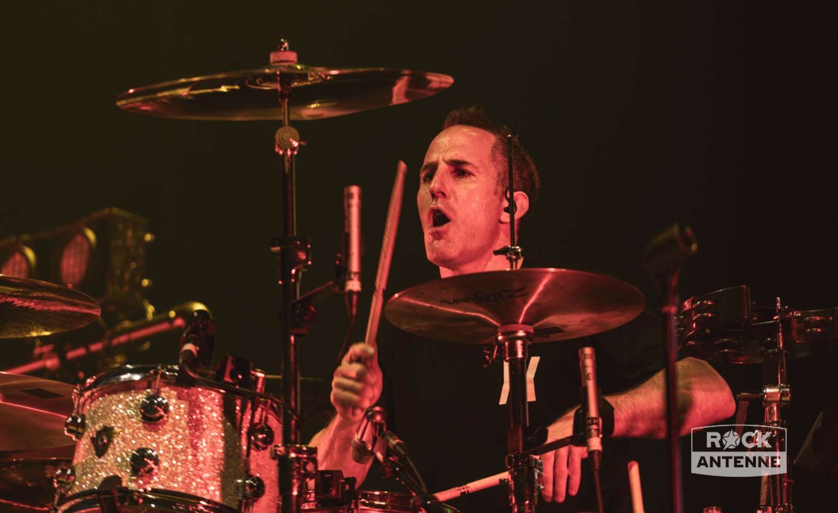 Konzertfotos von Simple Plan