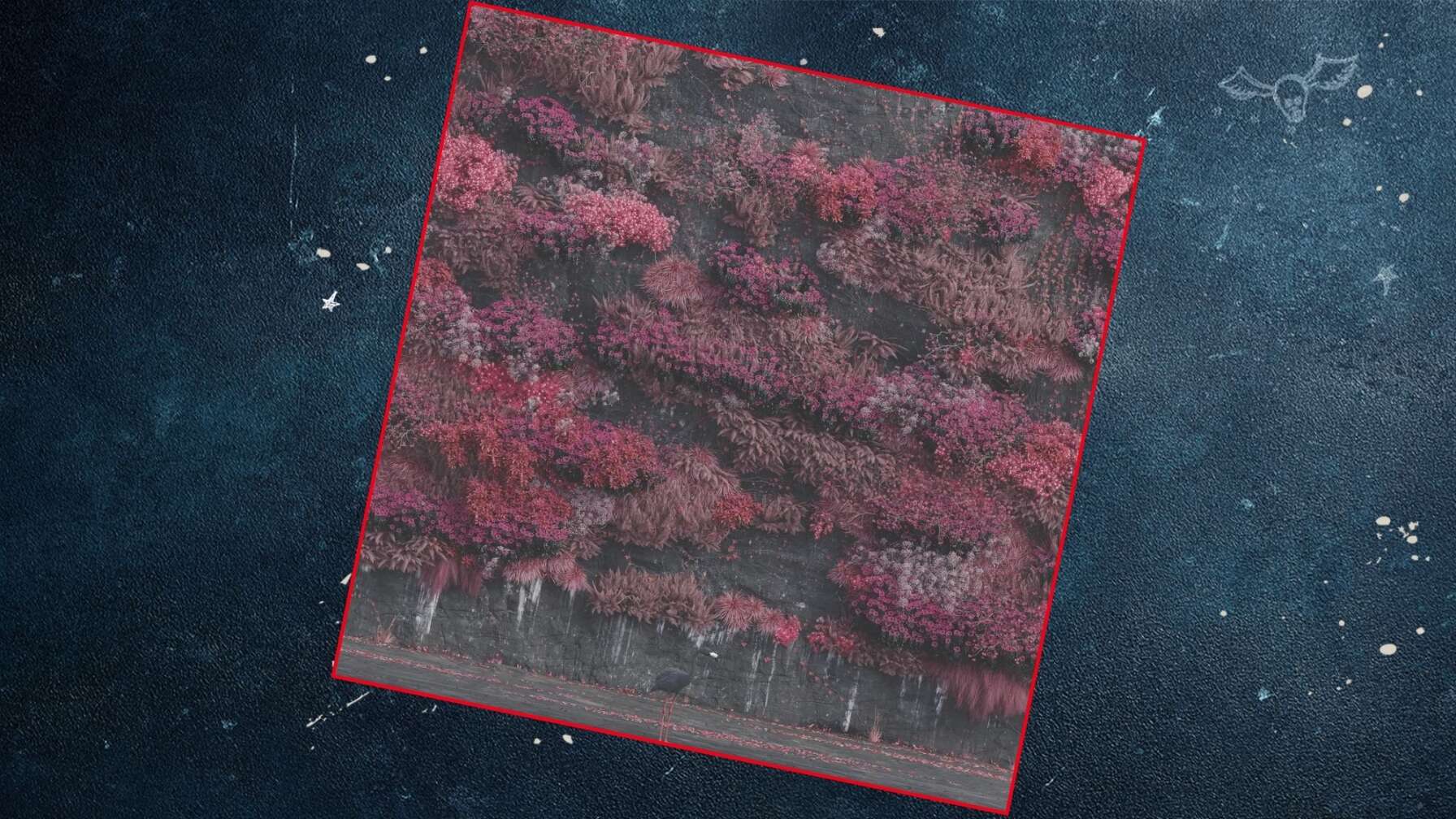 JahresROCKblick auf ROCK ANTENNE!