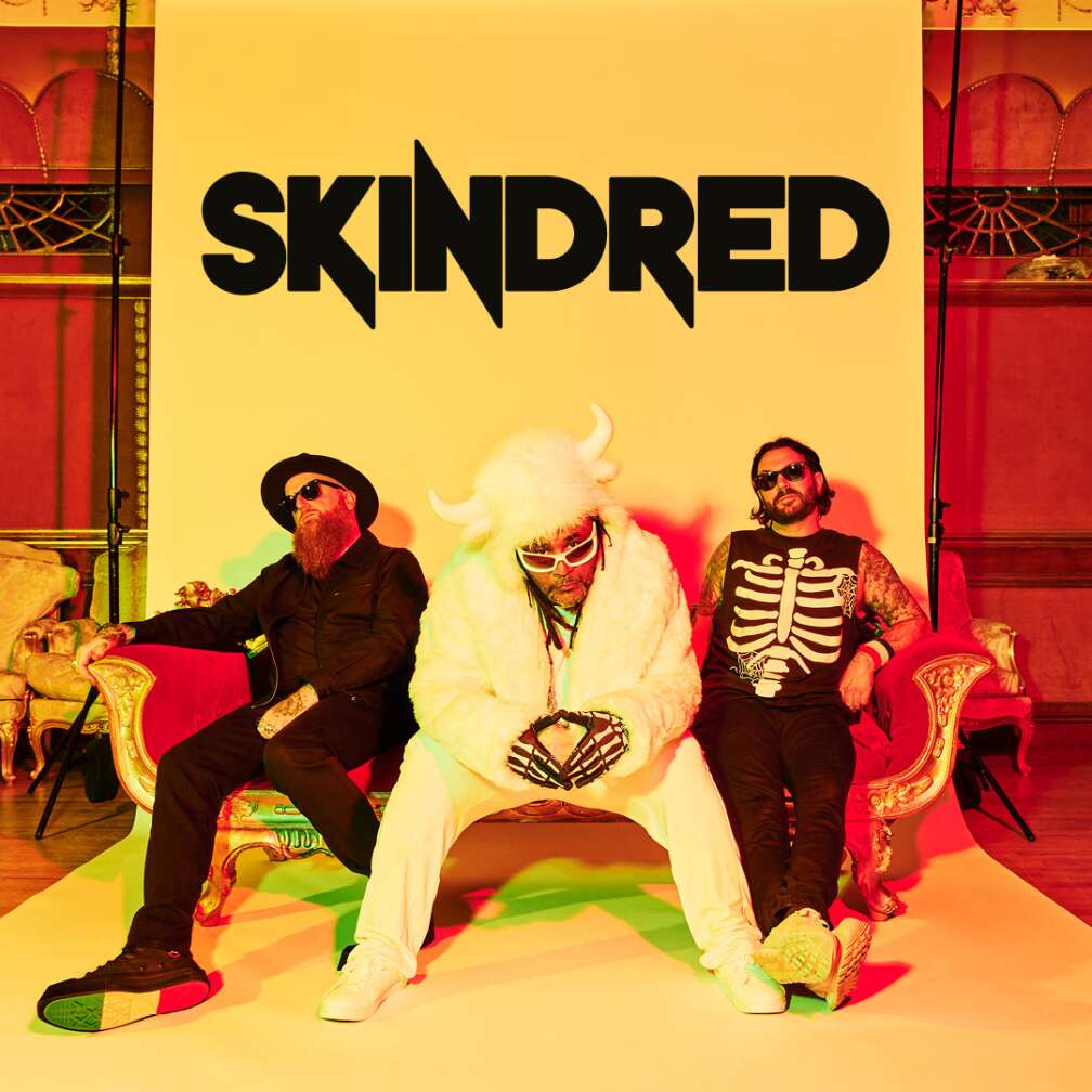 Bandfoto von Skindred