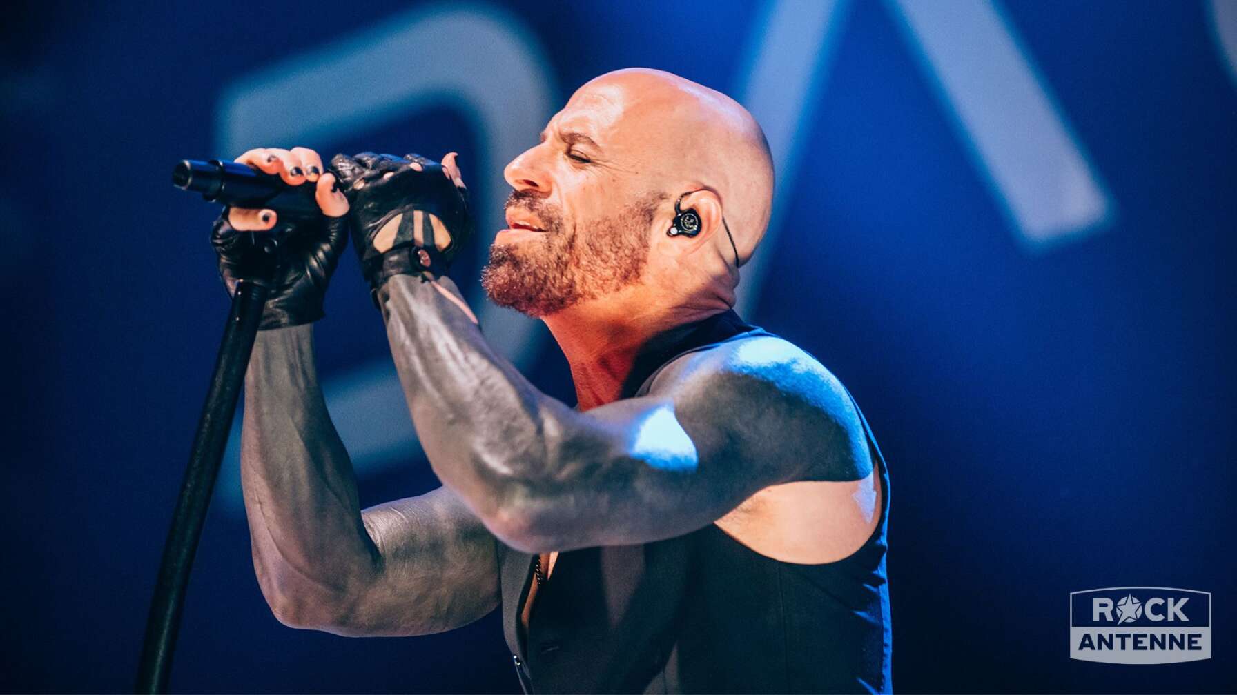 Konzertfotos von Daughtry
