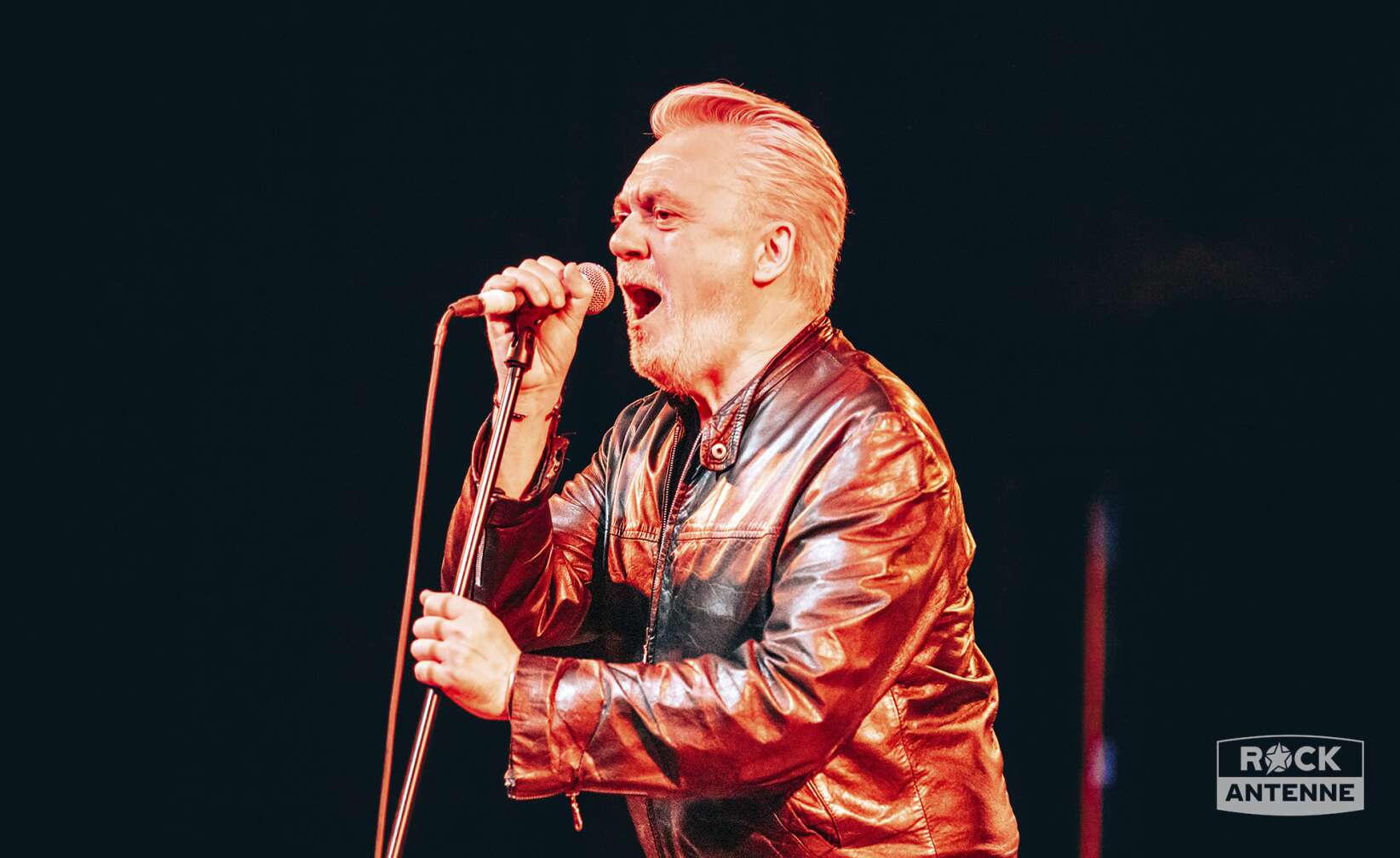 The Undertones live in München 2026