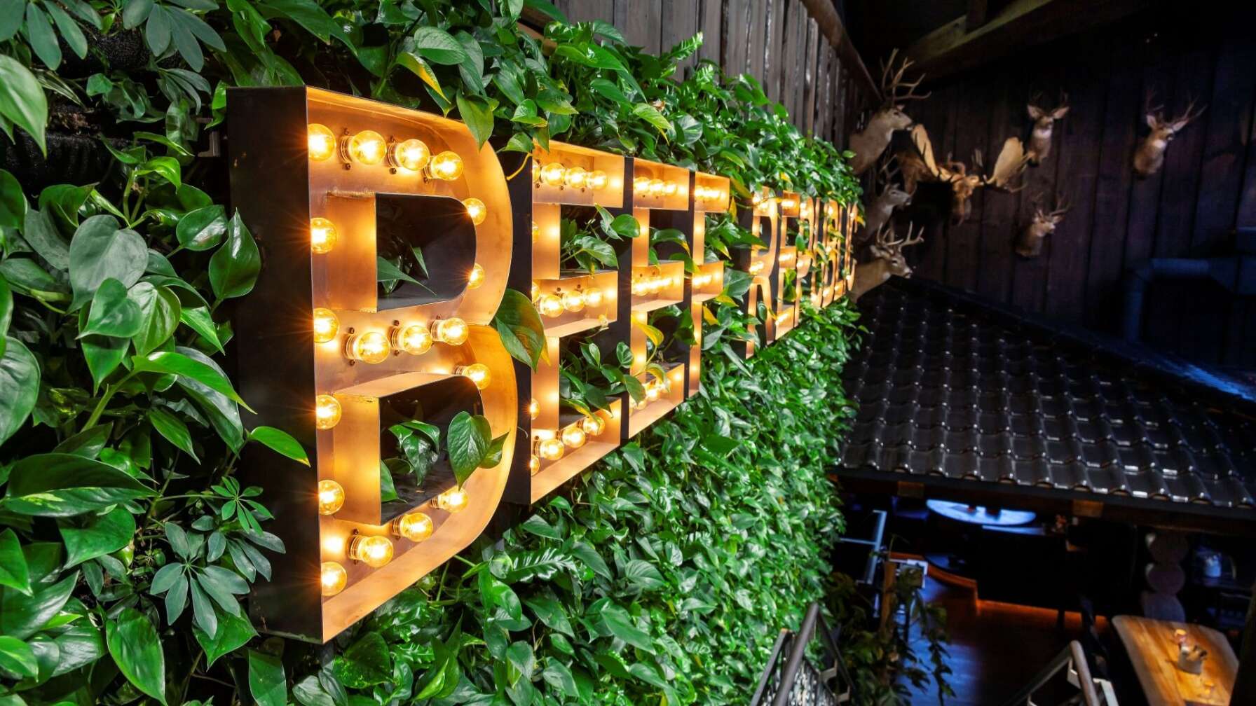 Der Timberjacks Standort Siegen - zu sehen eine begrünte Wand mit dem Neon Licht Schriftzug "Beef Republic"