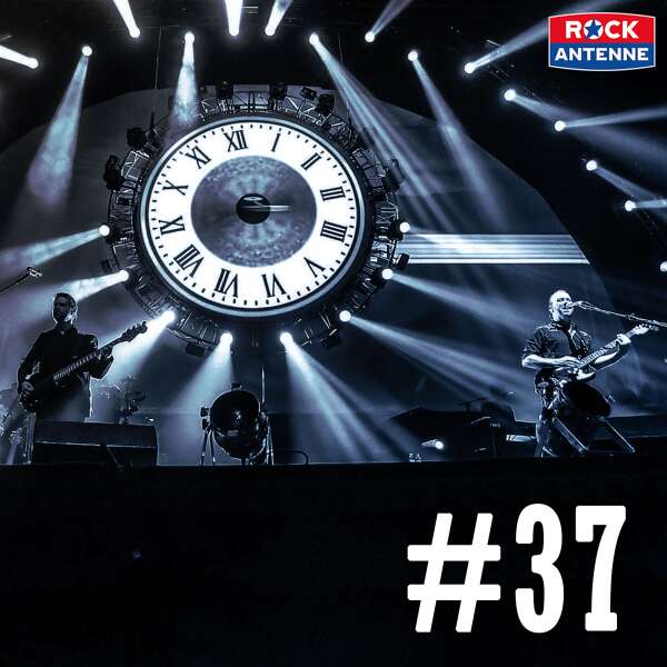 37: Damian Darlington / Brit Floyd